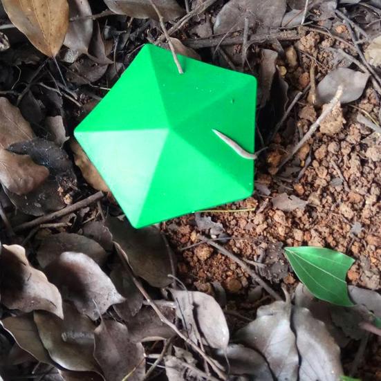 4 Adet Salyangoz Tuzak Kutusu Kullanımı Kolay Bahçe Çiftlik Koruyucu Salyangoz Tuzakları Bahçe Avlusu İçin Çevre Dostu Salyangoz Yakalayıcı