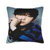 ALD1 A-ALPHA DRIVE ONE Pillow Case  Comfy Pillow Cover For Sofa Bedroom Home Decor Vintage Pillowcases