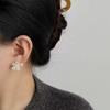 Luxury Temperament Sparkling Zircons Flower-shaped Stud Earrings for Women Exquisite Personality Bride Wedding Designer Jewelry