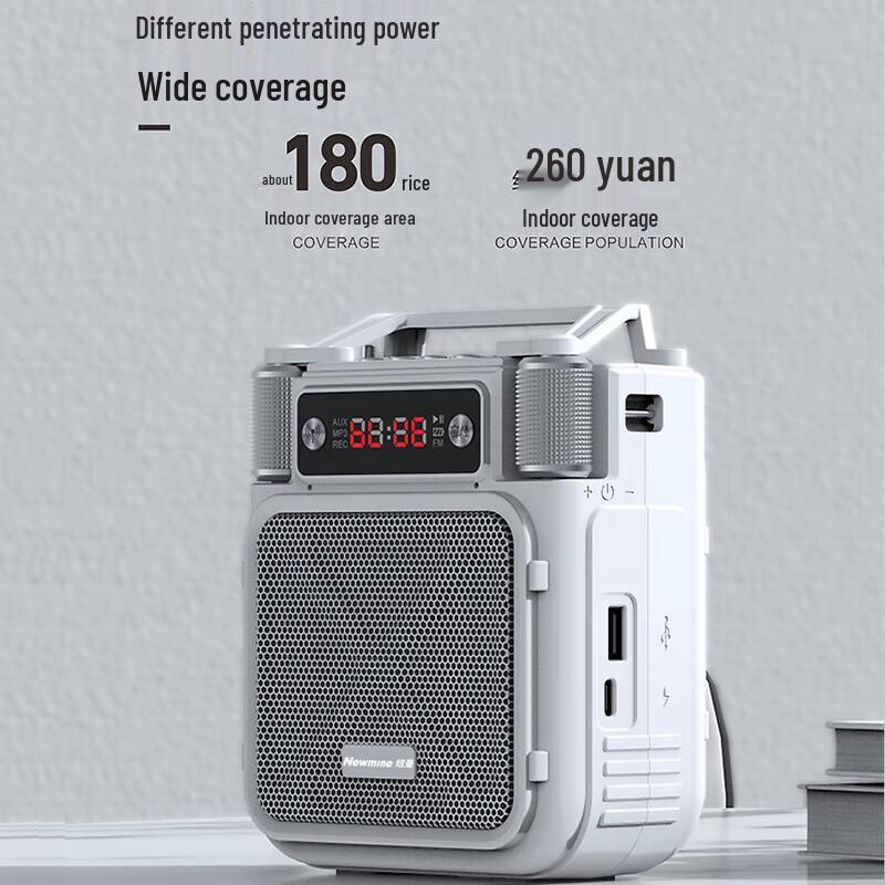 Newmine MS19 Bluetooth Portable Voice Amplifier with Dual Microphones