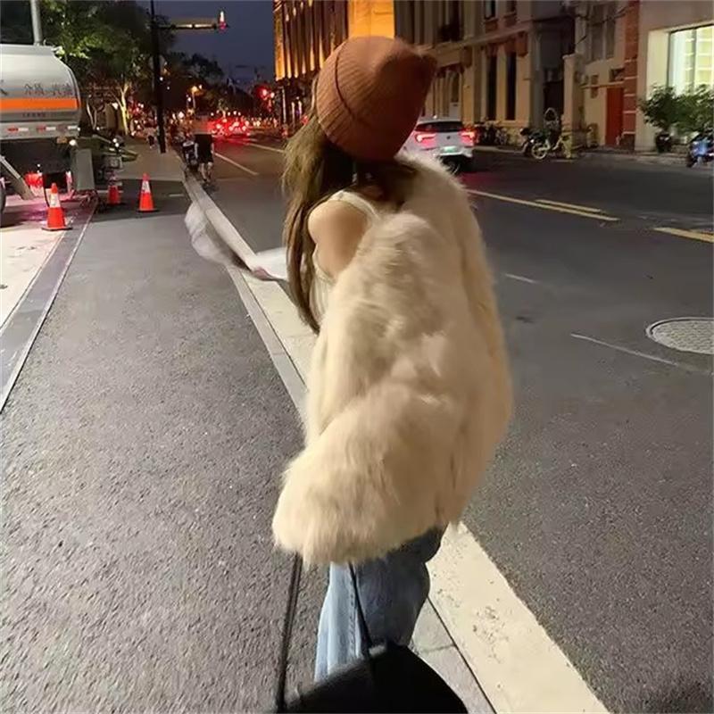 Autumn Winter Women's Faux Fur Coat Women Short Furry Clothing Casual Imitation Fox Fur Jacket Female Loose Warm Jacket