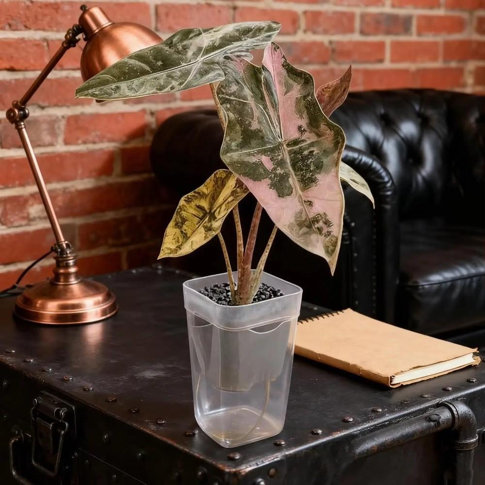 12 Set Drainage Holes Automatic Watering Planter Seedling Plant Pot  Gardening Accessories