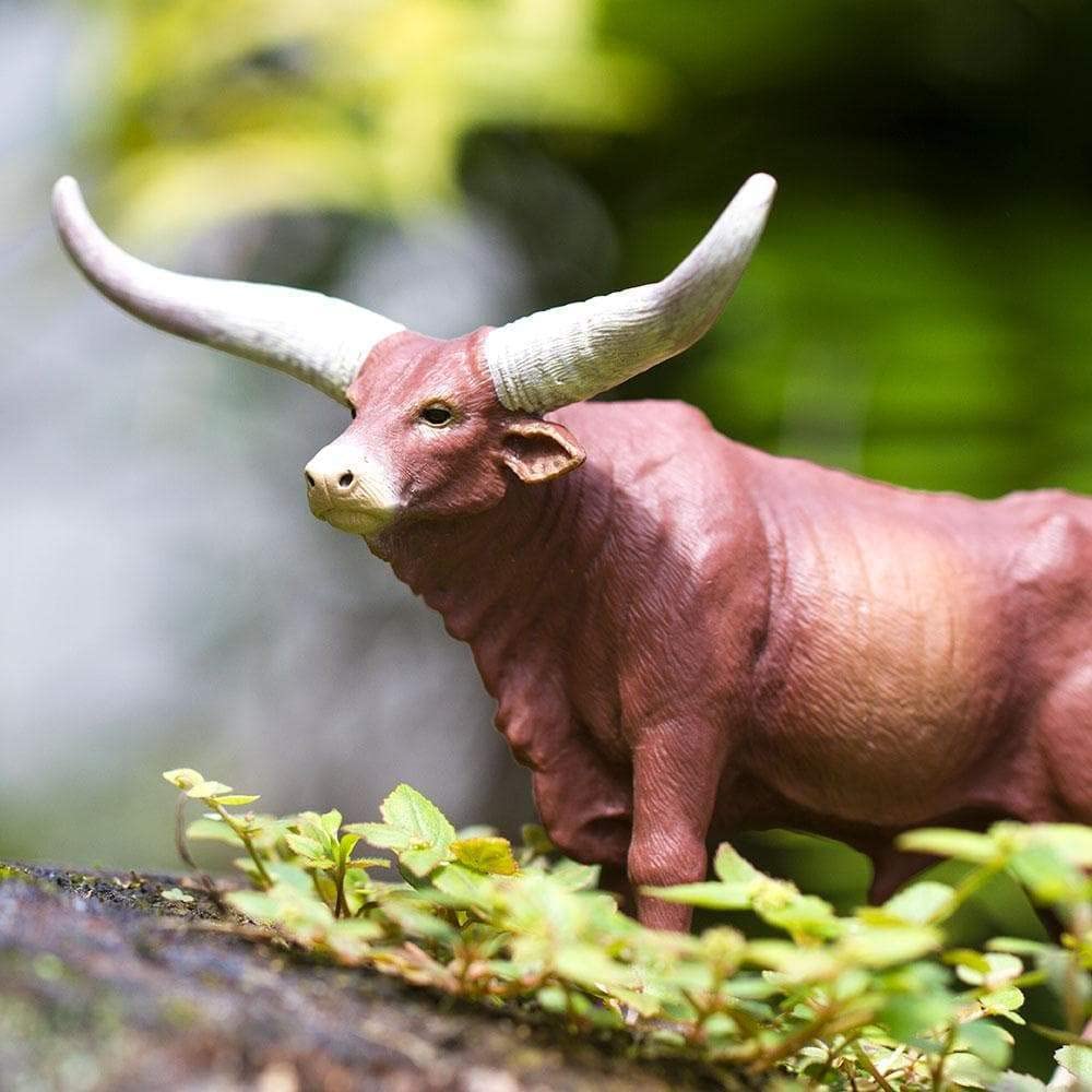 Safari Ankole Watusi Male Cow Figure 100202