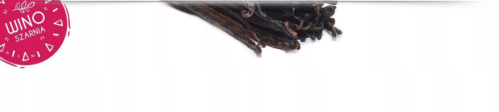 WANILIA LASKI 12-14cm Laska Wanilii - 1 szt