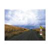 Road Landscape,Garden Background Photography Natural Scenery Backdrop Adult Photography Booth Shooting,Wedding,Party Decor