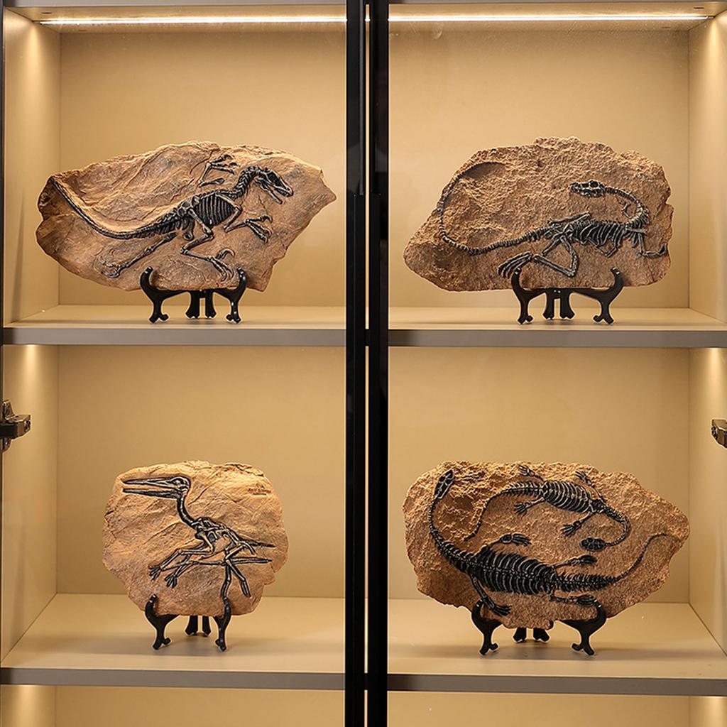 Artigianato Modello Fossili di Dinosauro Scheletro di Dinosauro Simulato Statuetta in Resina per Decorazioni Domestiche e Uso Educativo