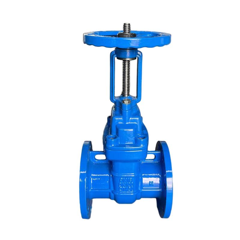 Chuxiao Z41T-16Q Cast Iron Rising Stem Gate Valve