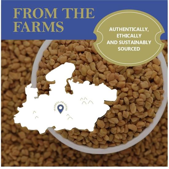 The Great Indian Spicery | Bockshornkleesamen (Bockshornklee-Samen) | 150g Dose - Dampfsterilisation, 100% Rein & Natürlich, Hoffrisch| Nahöstliche Gerichte