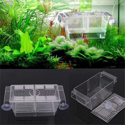 Aquarium Guppy Doppelzucht Züchter Aufzucht Trap Box Brüterei
