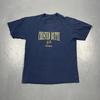 Vintage 90s Crested Butte Colorado Single Stitch Tshirt Blue Large VTG USA