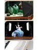 5070 Softbox Lighting Kit for Photography & Video Broadcasting: Indoor Portrait & Clothing Shooting