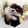 1pc animal Umbrella Portable Folding Umbrella Iron Frame Hole Bone Structure Outdoor Home Umbrella