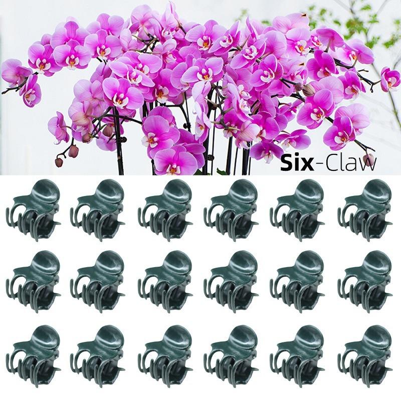 50pcs Plastic Garden Plant Clip For Phalaenopsis Graft Orchid Stem Dark Green Vine Support Clips Gardening Accessories
