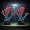 1 PC Simulation Coral Decor for Fish Tanks - Ideal Aquarium Coral Reef Decoration To Enhance Your Tank's Beauty