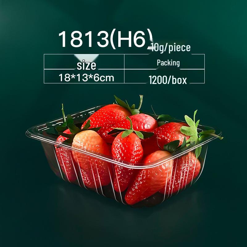 Sushi, Roast Duck, Pastry & Fruit Takeaway Box Set with Free Shipping & 100 Rubber Bands