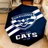 1PC Parramatta Eels Logo Automatic Umbrella - Suitable Travel Outdoor Portable Umbrella Birthday Gift Daily Essentials