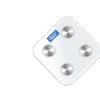 Brangdy Smart Body Fat Scale (CN version)
