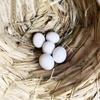 LYHMHAMY Fake Plastic Set of Bird Toys for and Small Breeding Fake Egg Food DIY Gardening Accessories Eggs, Eggs, 6, Parakeets, Budgies, Birds,