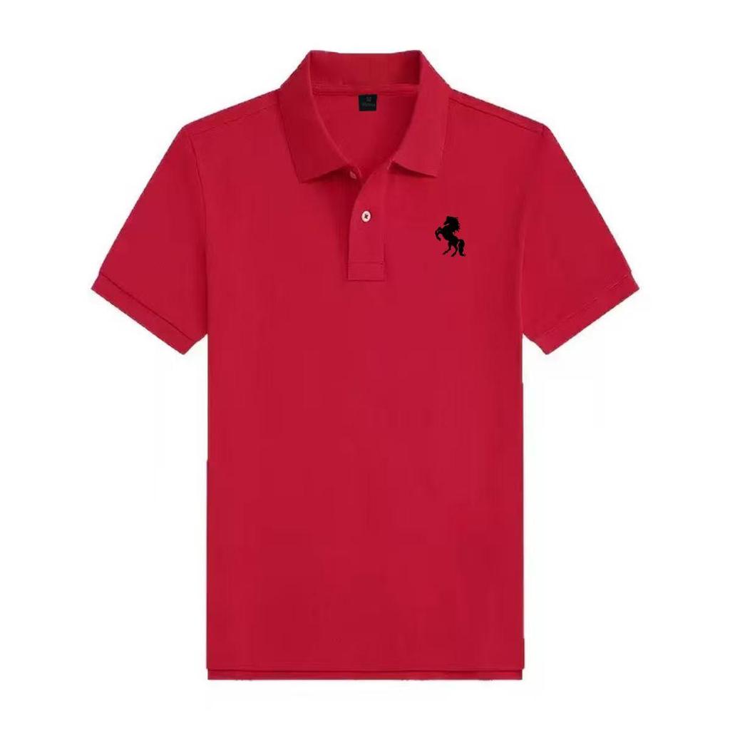 Schönes Herren-Poloshirt