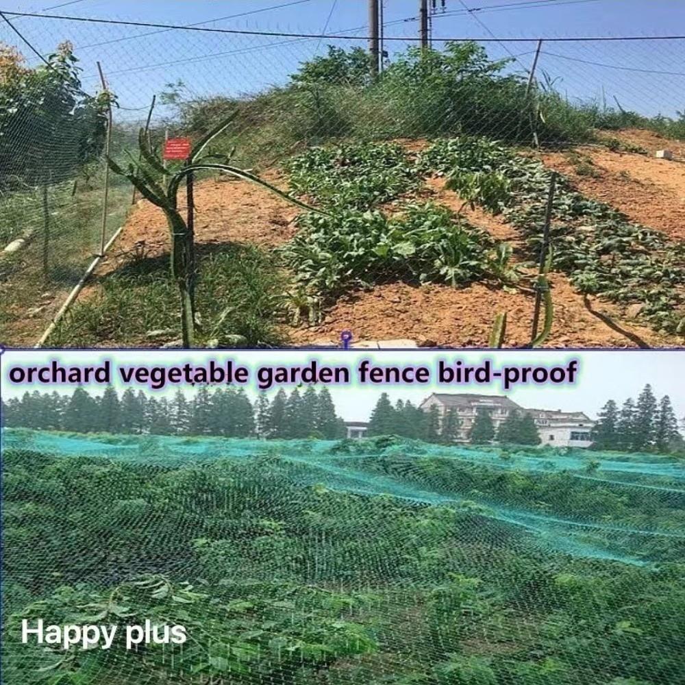 1.25inch Mesh Anti Bird Netting Nylon Material Orchard Net  Orchard Protection