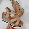 Fashion Summer Women's Sandals New Wedge Heeled Sandals Women 2025 Chunky Platform Women Shoes Fashion Ankle Buckle Thick Sole Sandalias