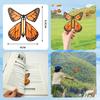 Wind Up Fluttering Butterfly Toy Flying Motion Butterfly Bookmarks with Rubber Band Mechanism Colorful Cardstock Wings