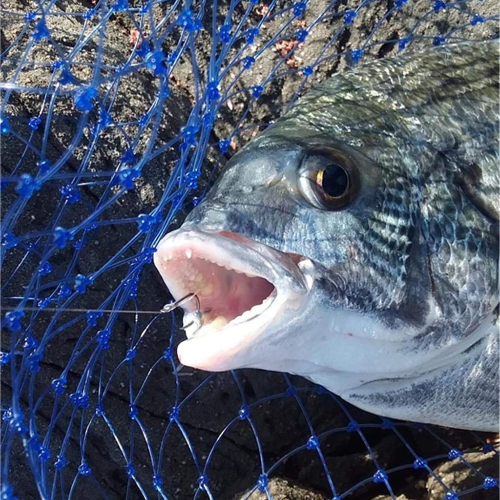 Daiwa D-MAX Ginro Chinu SS Speed No. 1