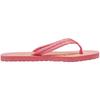 Womens/Ladies Epic V2 Flip Flops