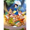 Disney Biancaneve e i Sette Nani Pittura Diamante 5D Piena di Diamanti Fai da Te Pittura Diamante Fatta a Mano Kit Pittura Decorativa Cartone Animato