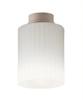 Direct Ceiling Mount LED Bulb Color Ceiling Light Equivalent To 1 Light Bulb Equivalent To 1 Light Fixture with Light Bulb Centered On