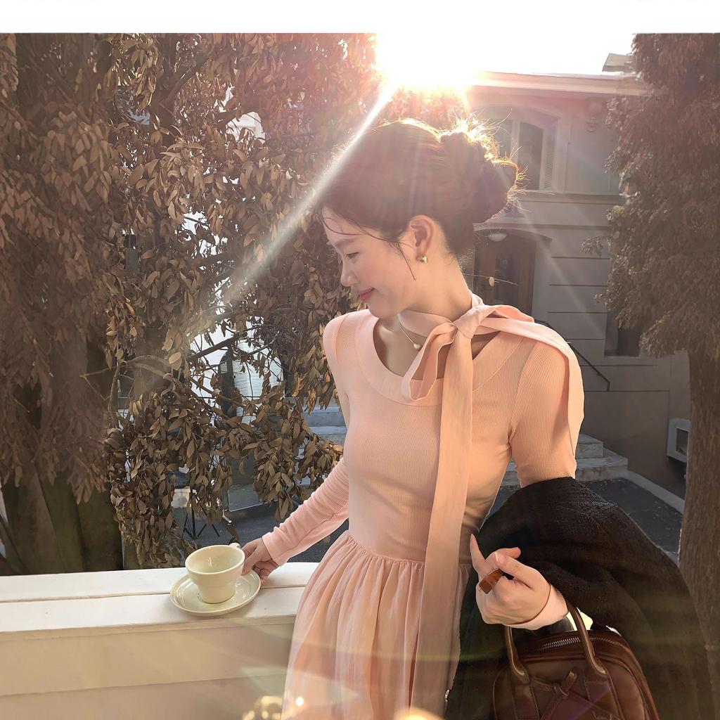 Temperament sweet streamer pink long-sleeved dress women's autumn and winter elegant and gentle Kochi wear bottom medium and long dress