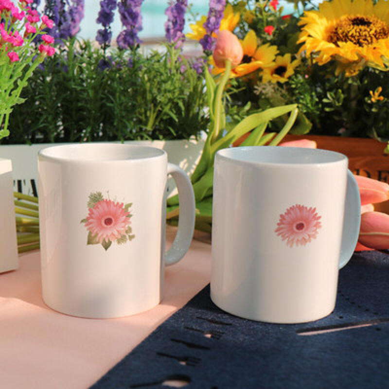 tb982-Design Mug 2p-Daisy