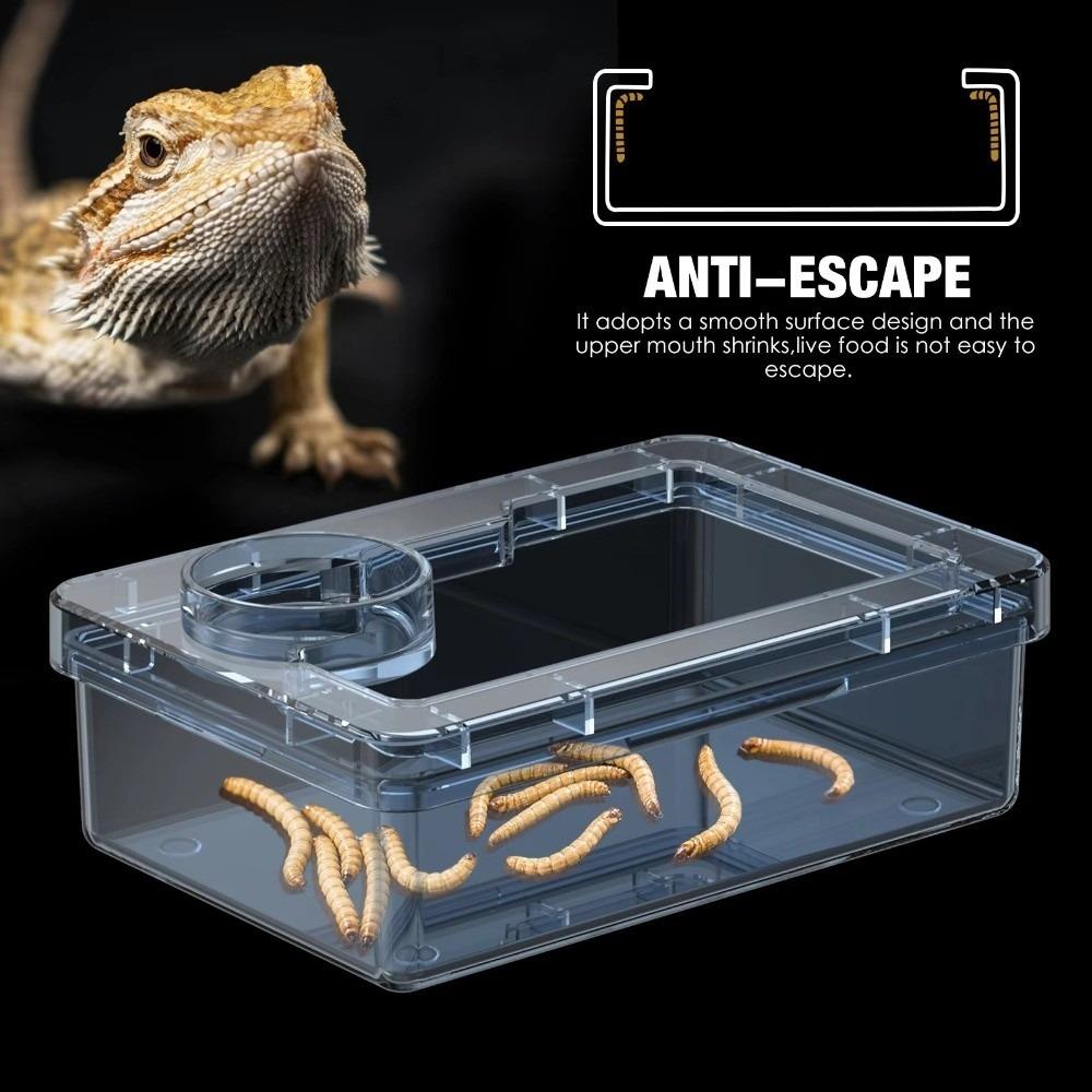 Reptile Lizards Geckos Feeding Bowls Prevent Tenebrio Molitor and Blaptica Dubia Anti Overturning Trough Feeder Transparent