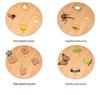 Montessori Plant & Animal Life Cycle Educational Toy Set for Early Learning