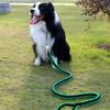 Rope Large Dog Leash + Lead (1.3m) Dog Walking Leash