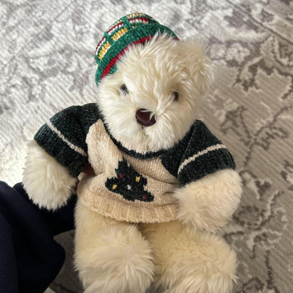 [USED] Teddy Bear, Imported Teddy Bear