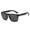 JYL TS Sunglasses D731 Polarized Cycling Men UV/D731