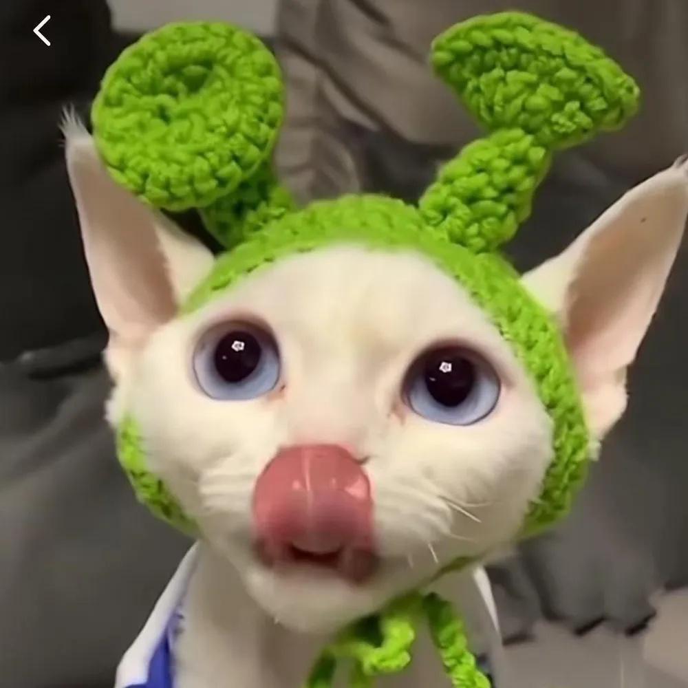 

Pet Headgear, Knitted Hat, Costume Props, Funny Handmade Wool Hat S зелений