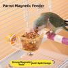 Plastic Bird Feeding Bowl Transparent Pet Food Container New Parrot Feeder  Cage Accessories