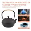 Cast Iron Teapot Japanese Tea Kettle Multi-Capacity 300-1200ML Stainless Steel Infuser Oolong Tea Boiling Water Kitchen Teaware