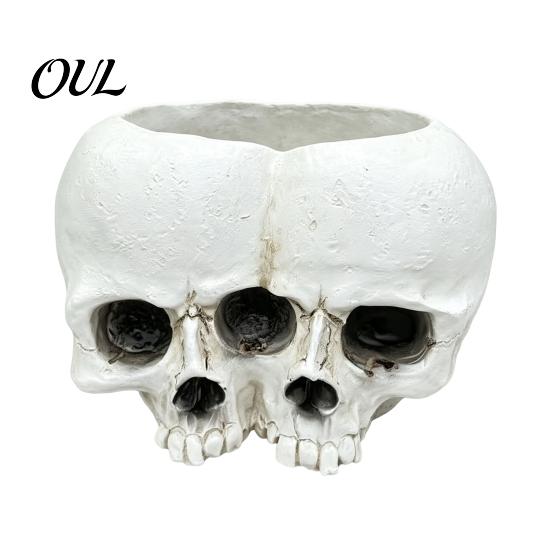 Retro Distressed Skull Decor Double Flowerpot for Succulents Green Plants, Realistic Resin Planter, Gothic Home Plant Pot Halloween Party &