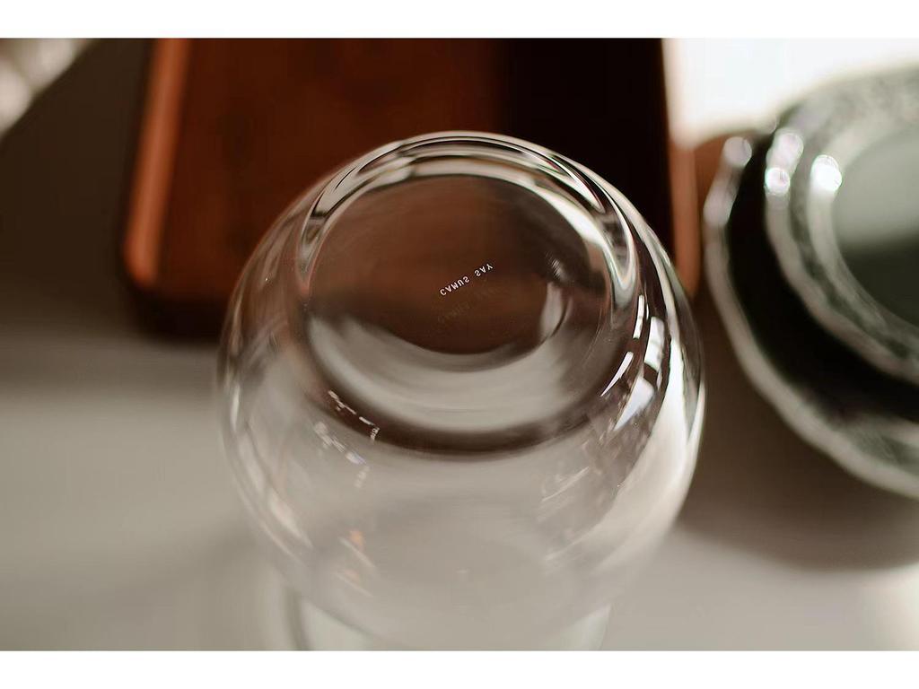 Modern Minimalist Glass Vase for Tulips & Ranunculus - Hydroponic Decor Accent for Living Room