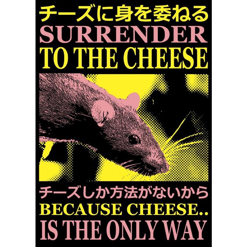 Vintage Japanese Animals Posters Rats Frog Raccoon Prints Canvas Printing Wall Art Picture for Living Room Home Decor Gifts