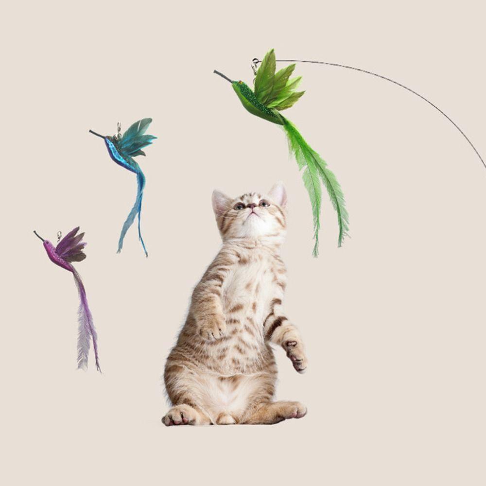

Hummingbird Cat Stick Head With Bell Feather Cat Teasing Wand Funny Cats Toys 4