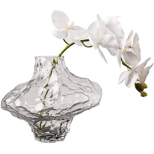 

Vases Creative Glass Living Room Restaurant Vase Transparent Hydroponic Flower Arrangement Ornaments Desktop Vase(A) A