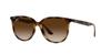 RB4378F Pinkish Brown Gradient Size 54 Ray-Ban Sunglasses, Transparent/Brown Lens,