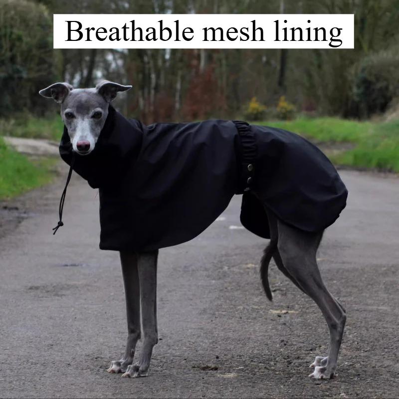 Impermeabile per Cani Taglia Grande Lusso Whippet Levriero Cani Impermeabili Giacca Dobermann Pinscher Impermeabile Passeggiate all'Aperto