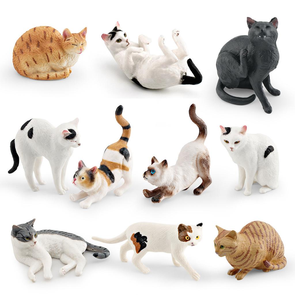 American Shorthair Pvc Cat Model Animal Toy Educational Display For Children