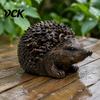 Outdoor Hidden Key Hider Resin Hedgehog Statue Storage Ornament, Waterproof Box for Holder Outdoors Garden, Realistic Animal Figurine Indoor Landscape