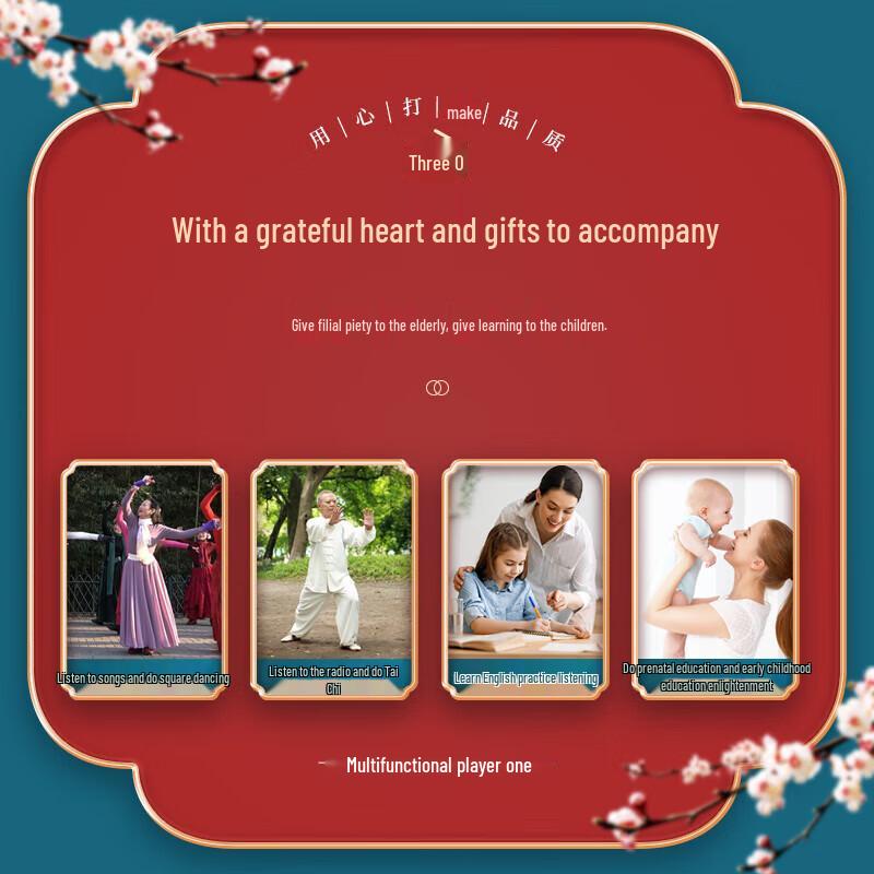 Newmine MX28 Portable Bluetooth Speaker with Radio CN plug (adapter included)